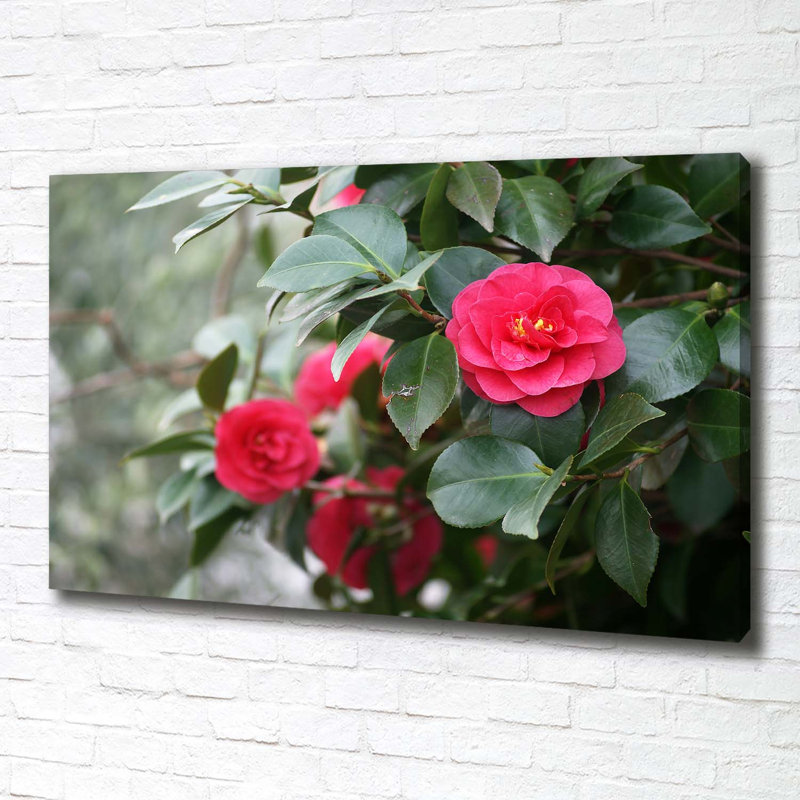 Camellia - No Frame Print on Canvas