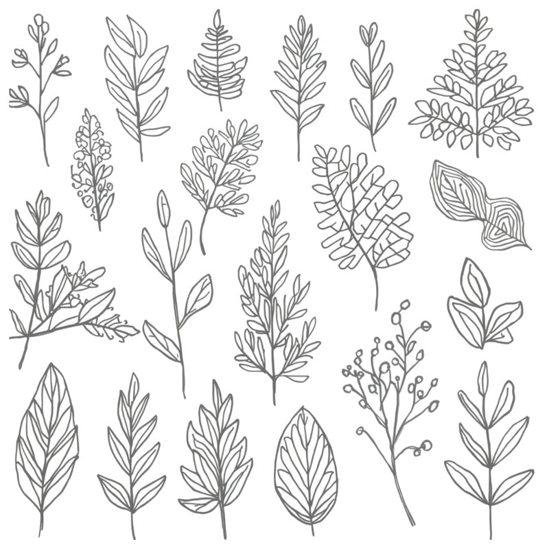 Line Drawing Foliage Comforter, Queen