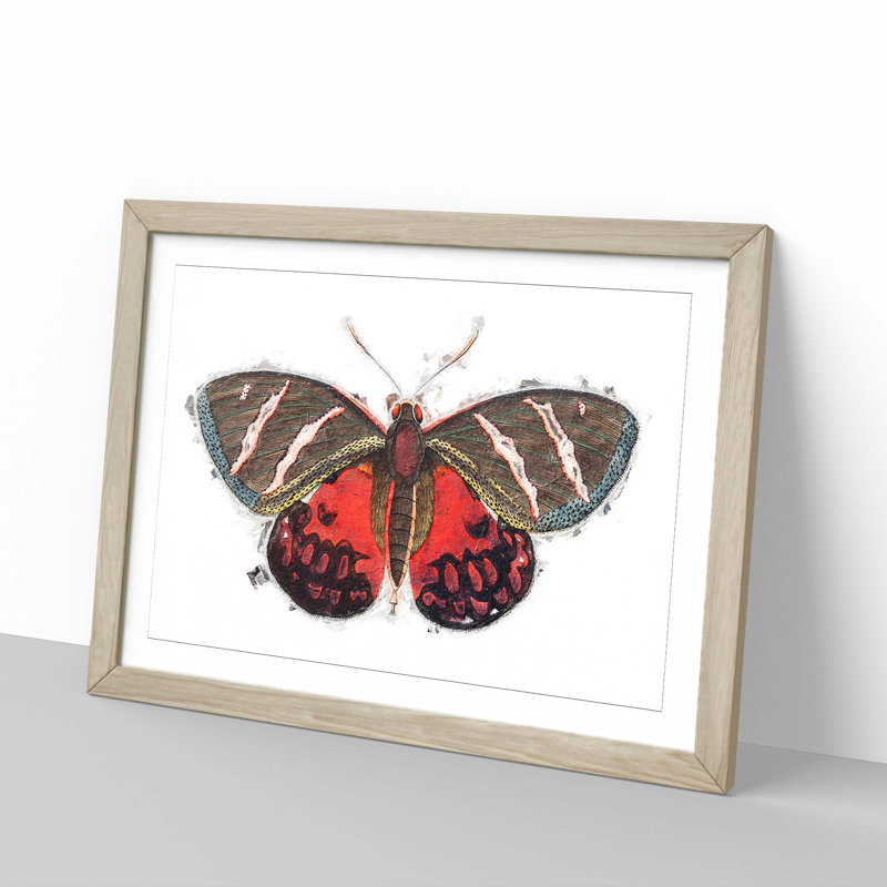 Icarus Moth by George Shaw - Framed Print, 48cm H x 65cm W x 2cm D, Oak Framed