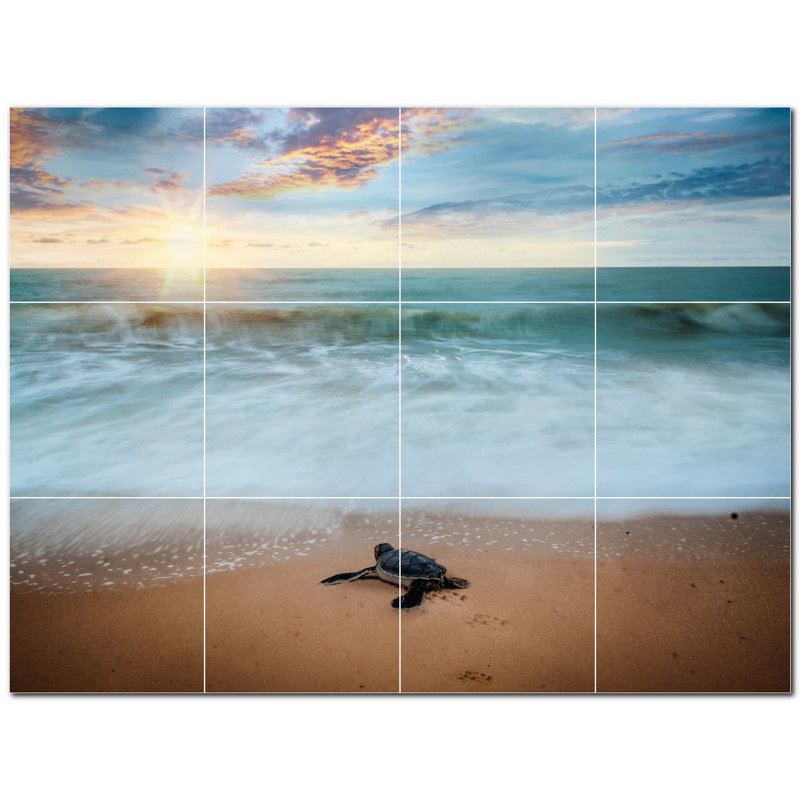 Murale en céramique satinée 4,25 po x 4,25 po Turtle Photo