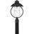 Capsicum Seeded Lantern Head