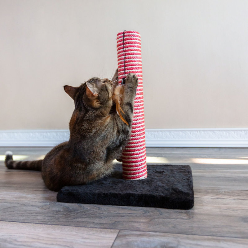 Rialto Scratching Post