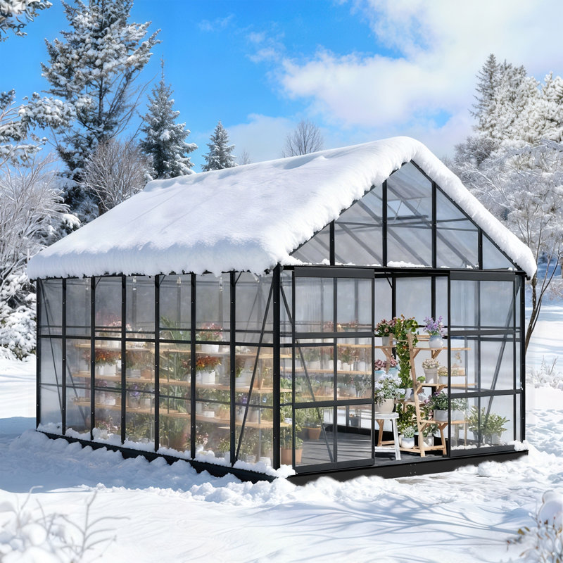 Serre d'extérieur en polycarbonate en aluminium avec ventilation et gouttière de pluie, serre pour l'extérieur, cour arrière, jardin