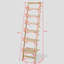 Doggett Ladder Bookcase