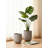 12 Inch Ceramic Planter Pot With Drainage Hole - Modern Indoor Plant Container For Home, Office, Patio Or Garden - Includes Rubber Plug And Mesh Pad
