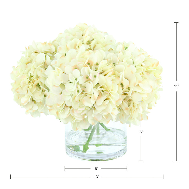 Hydrangeas Arranged in a Glass Vase, Cream