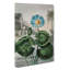 Blue Egyptian Water Lily by R.J. Thornton - Wrapped Canvas Painting-55371402