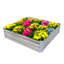 Lit de jardin surélevé en acier galvanisé Rondrick - argenté - l 4 pi x P 4 pi x H 1 pi-1813317725-1817885145