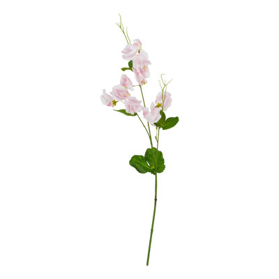 Anastasija Arrangement