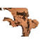 Cast Naturals Burled Root Wall Décor