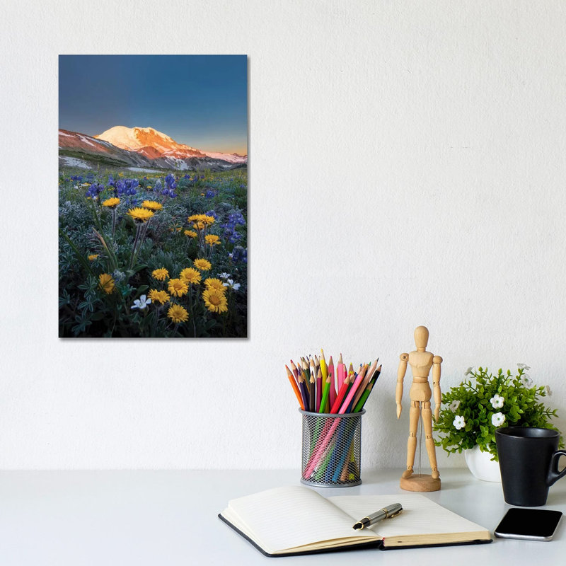 Alpine Wildflowers Dwarf Lupine, Tolmie's Saxifrage And Alpine Daisy by Gary Luhm - Wrapped Canvas Print