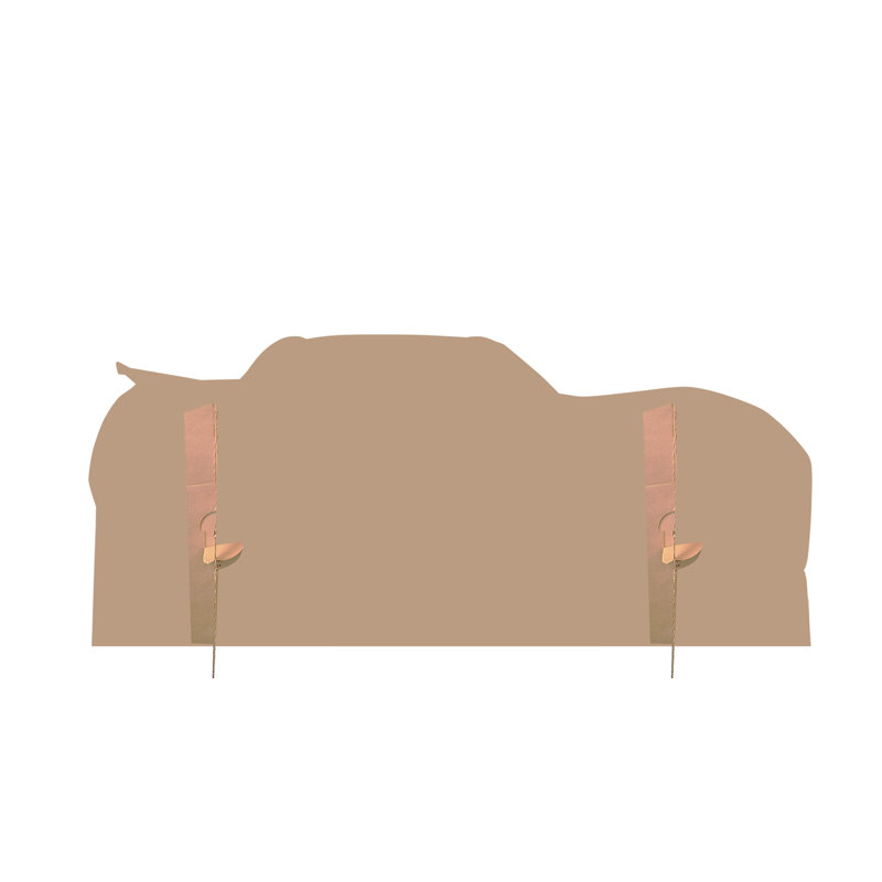 Jackson Storm Life-Size Cardboard Standup from Cars 3