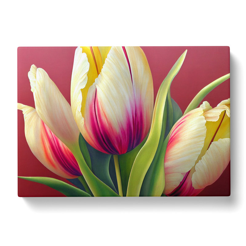 Dazzling Tulip Flowers - Wrapped Canvas Print, 35cm H x 50cm W x 3cm D