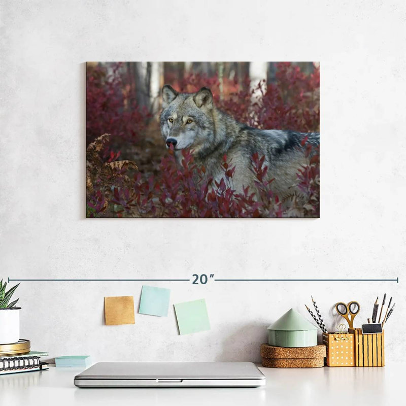 Brampt Gray Timber Wolf, 8" H x 12" W