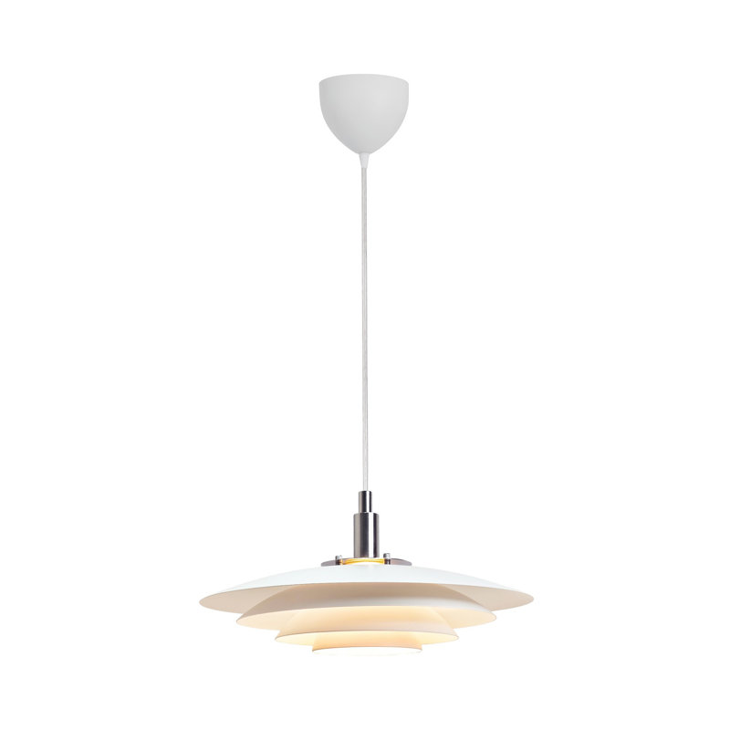Bicknas 1-Light Novelty Pendant