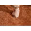 Chaise d'appoint moderne-1441496798