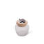 Grape Glass Jar-962805548
