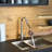 RoomTec Pull Down Kitchen Faucet
