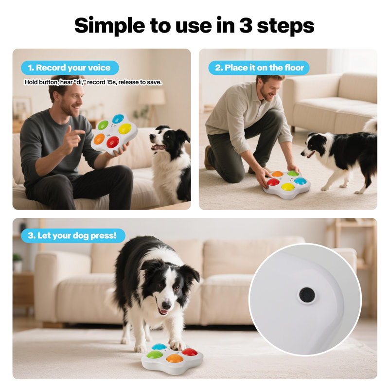 Boutons de dressage pour chien