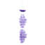 Carillon Avroham-30690543