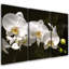 White Orchid Flower - 3 Piece Wrapped Canvas Print Set-1616056753