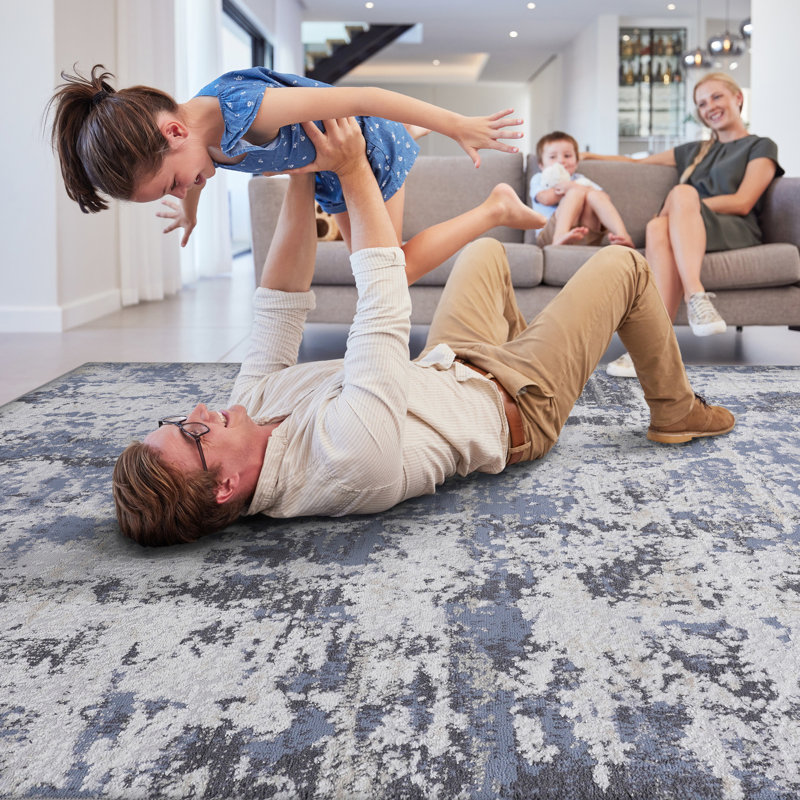 Grey Area Rug , Non-shedding, Stain , Enhances Living Room, Bedroom, Dining Non-shedding Rug, Fits Elegant