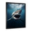 Requin bleu apex photo sur toile