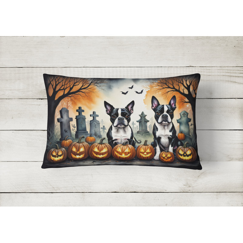 Other/No Pattern Outdoor Throw Pillow