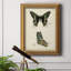 Butterfly Profile IV Butterfly Profile IV - Peinture sur toile encadrée-1315946580