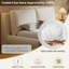 Upholstered Bed