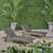 Outdoor Solid Wood Frame Recliner Set of 2 with Pull Out Tray and Rollers-1969005437