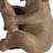 Elephant Bookends, Whimsical Animal Bookends for Decorative Bookshelf Display