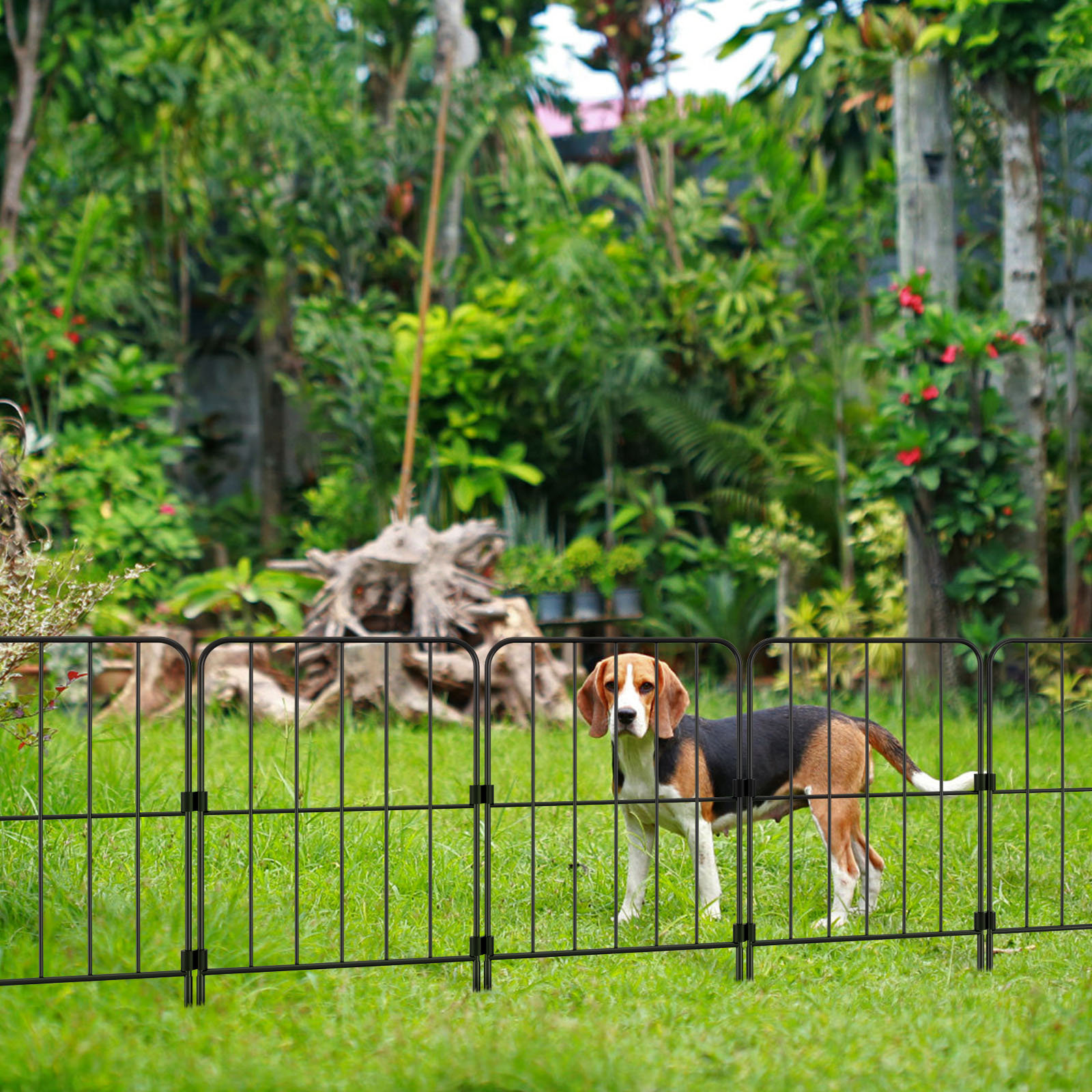 Haitral Decorative Garden 2 Ft H X 13 In W Metal Fencing Reviews 
