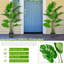 60 plantes