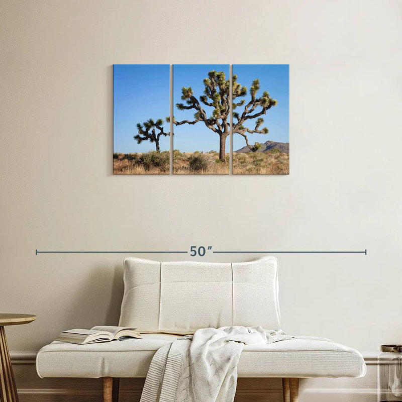 Parc national Harnek Joshua Tree, H 20 po x l 33 po