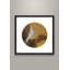 White Hawk on an Old Pine Tree by Ban Shan - Single Picture Frame Painting-1244560375