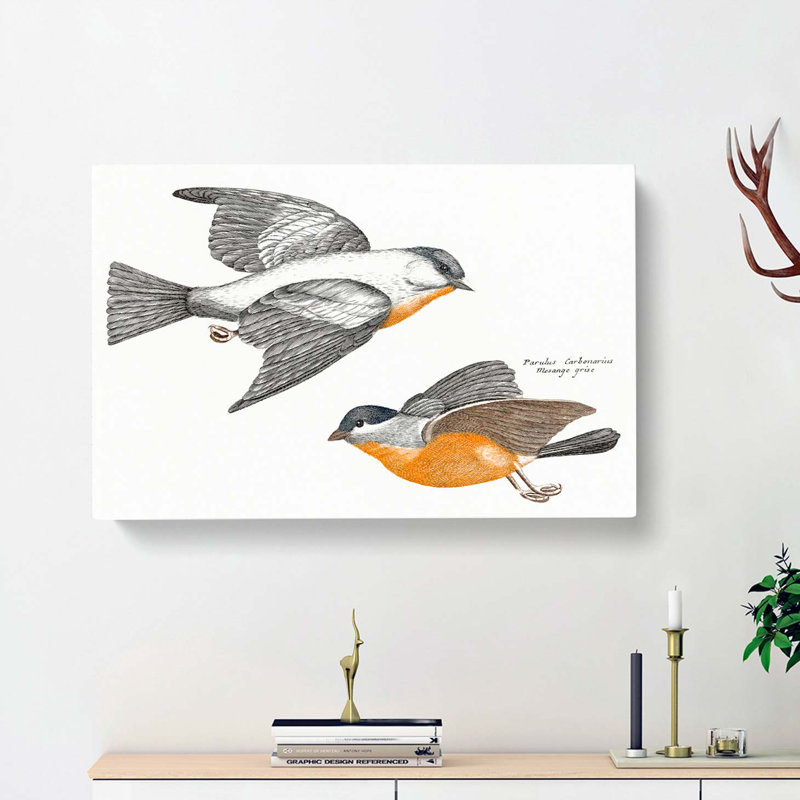Grey Fluff Tits by Johan Teyler - Wrapped Canvas, 35cm H x 50cm W x 3cm D