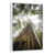 Floating Frame White