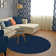 Indoor Rug