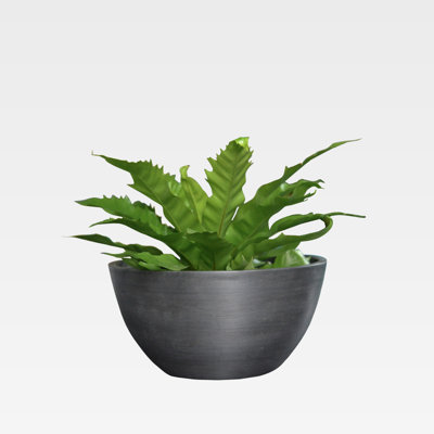 Pot à fleurs en plastique / pierre