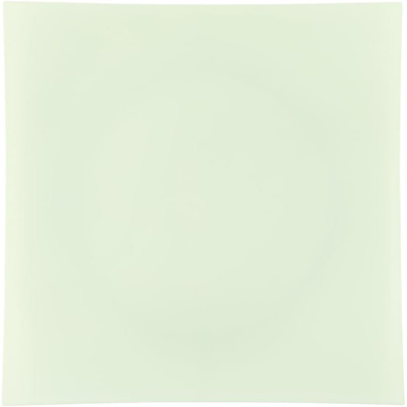 Disposable Dinner Plate, Set of 28