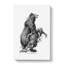 Grizzly Bear and Stag Illustration in Black and White - Wrapped Canvas-55360340