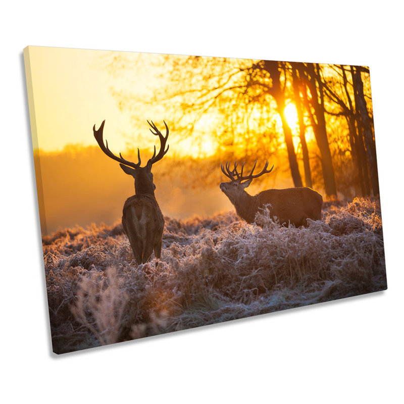 Stag Deers Wildlife Sunset - Wrapped Canvas Print, 61cm H x 91.4cm W x 4cm D
