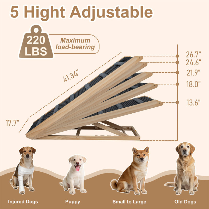 Pet Stair