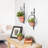 Saban 2 Piece Metal Hanging Wall Planter Set