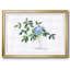 Rustic Simplicity I, reproduction d'art encadrée-200454381-200454382