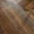 Lowland Forest Oak selected