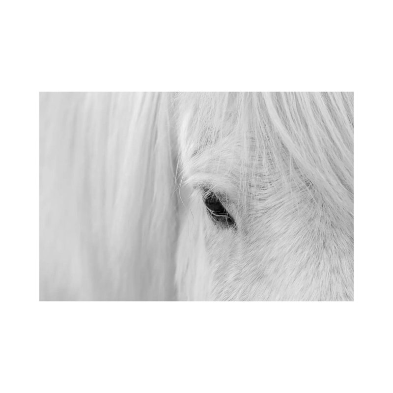 Whisper Of Iceland by John Fan - Wrapped Canvas Print, 20.32cm H x 30.48cm W x 1.91cm D