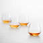 Forte Tritan 20 oz. Stemless Drinking Glass