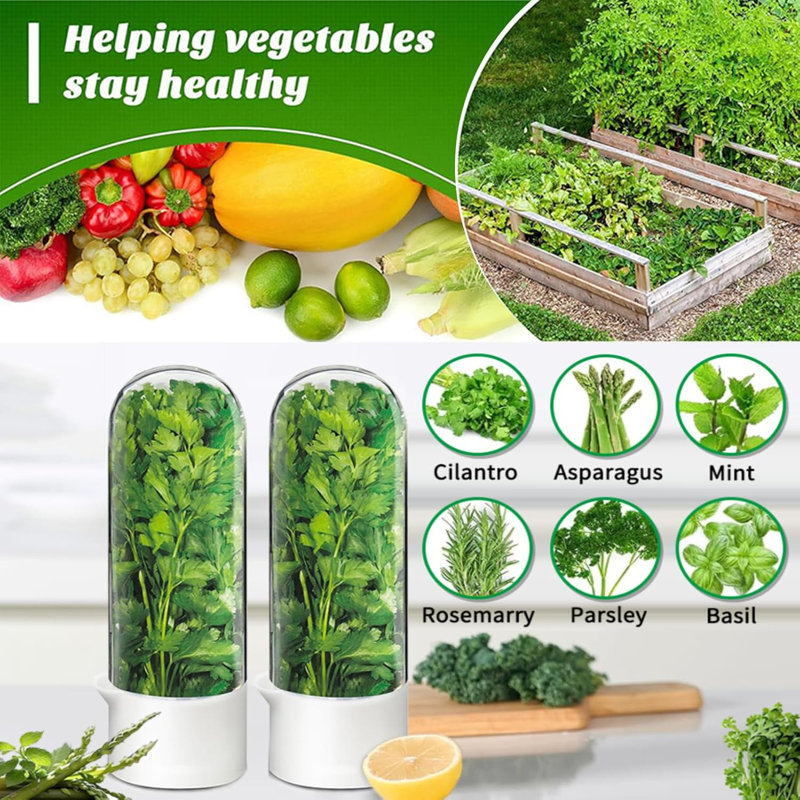 Herb Saver pour réfrigérateur - Herb Keeper & Coriandre Contenant pour réfrigérateur, 3 pièces